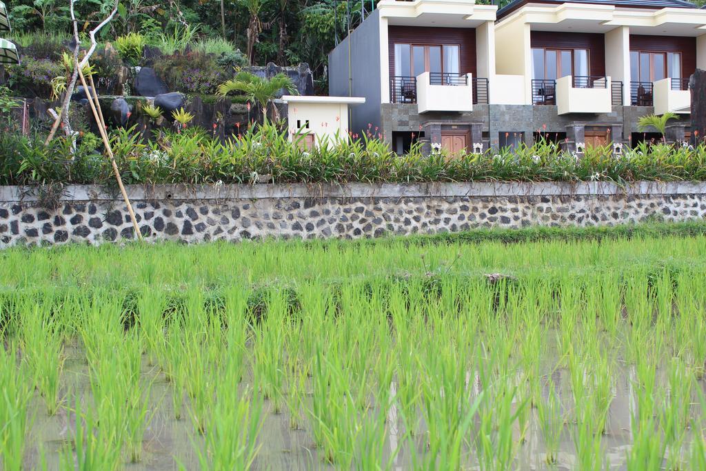 Batukaru Otel Bali Dış mekan fotoğraf